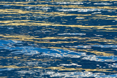 Blue Waves