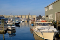 Gloucester Waterfront in July 2