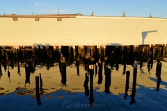 Wharf Reflections