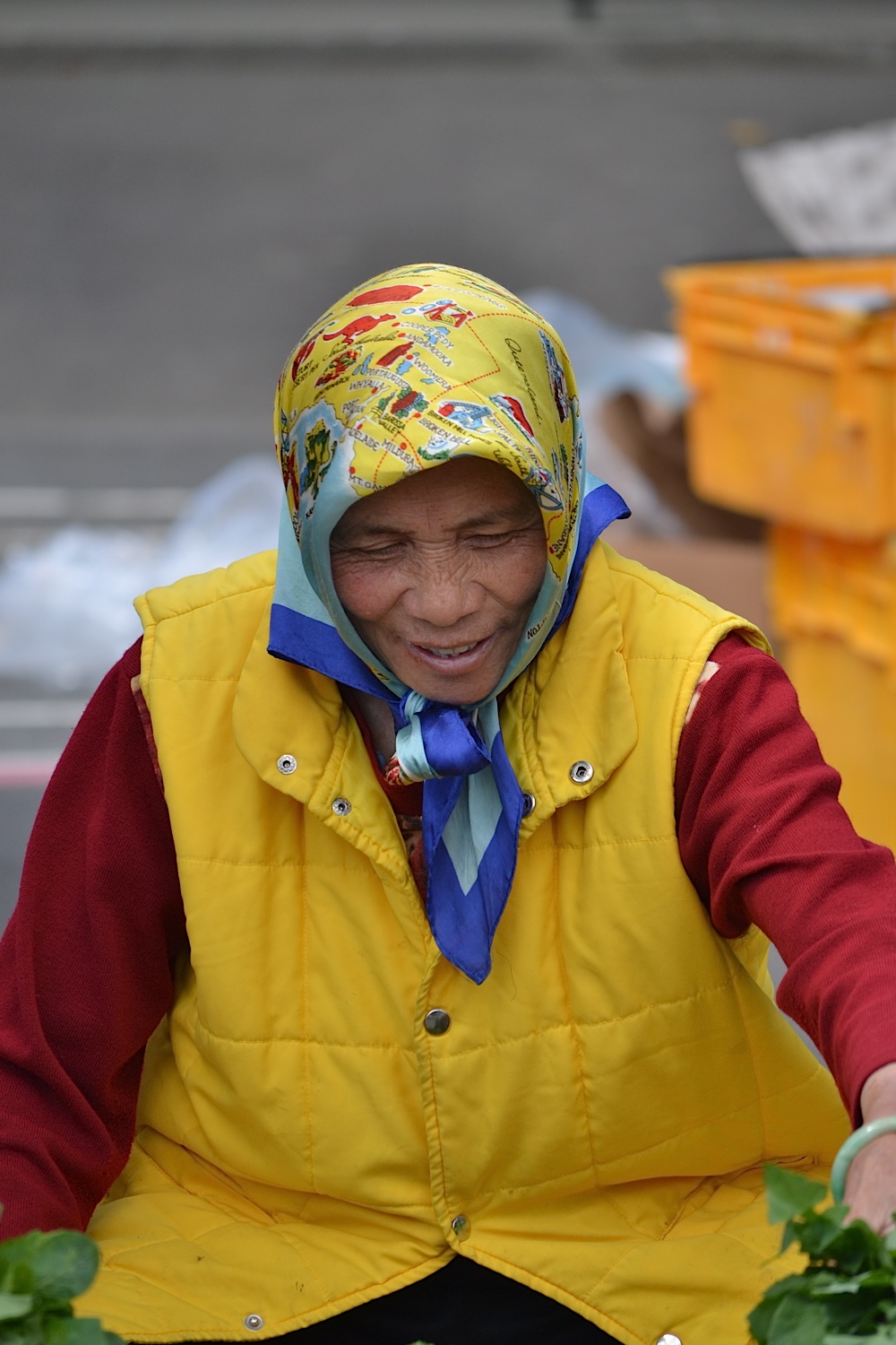 Newtown People's Market, Wellington, New Zealand