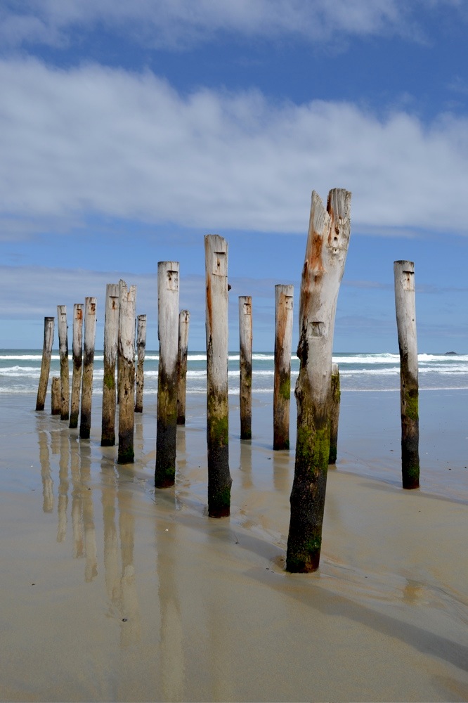 St. Clair Beach, Dunedin, New Zealand