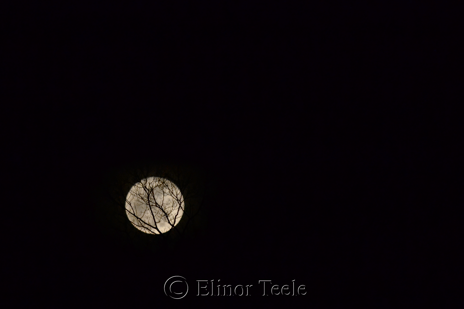 Full Moon Rising, Gloucester MA
