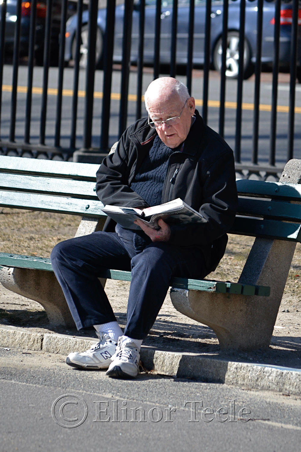 Reading in Boston Common, Boston MA