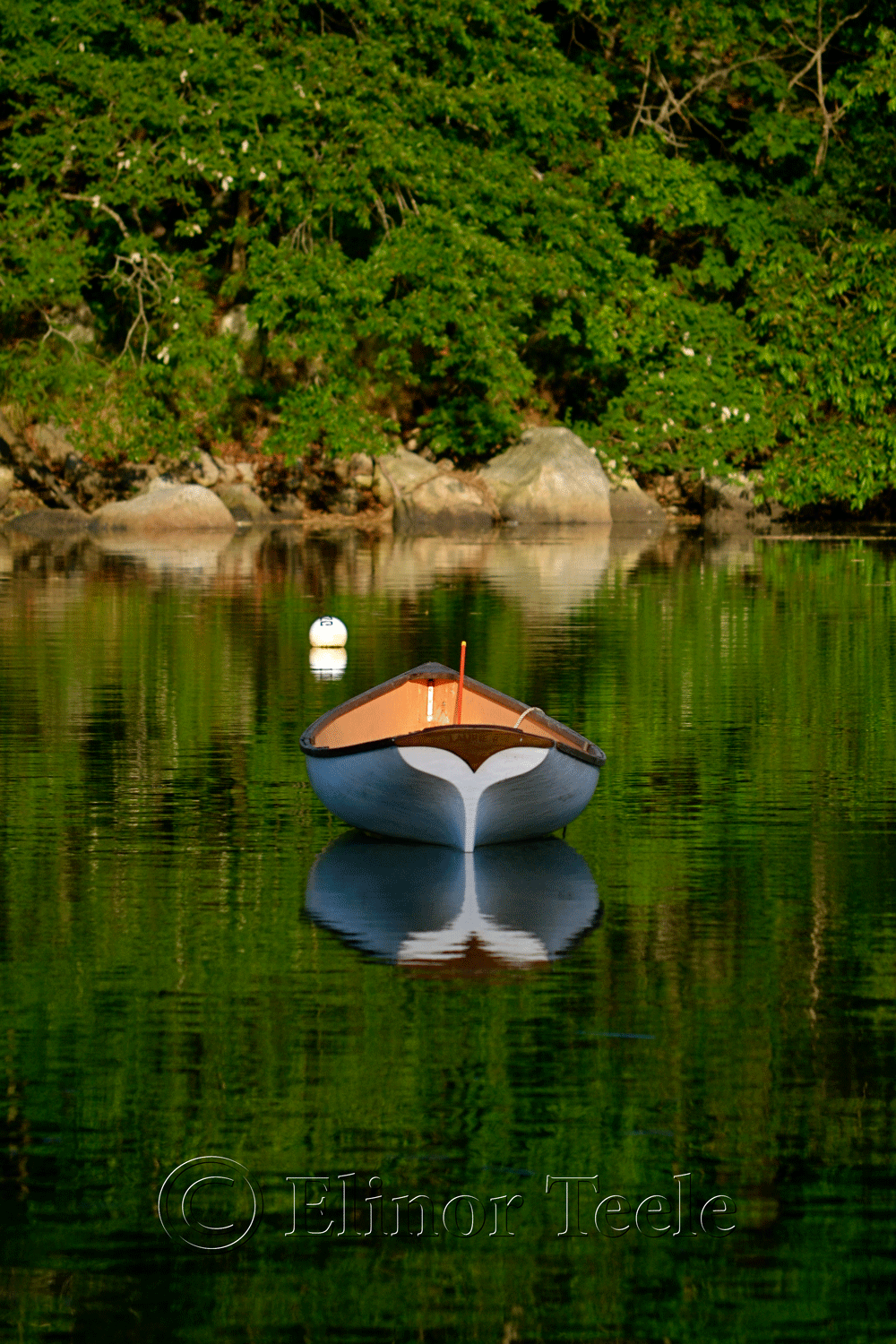 Rowboat and Trees, Gloucester MA