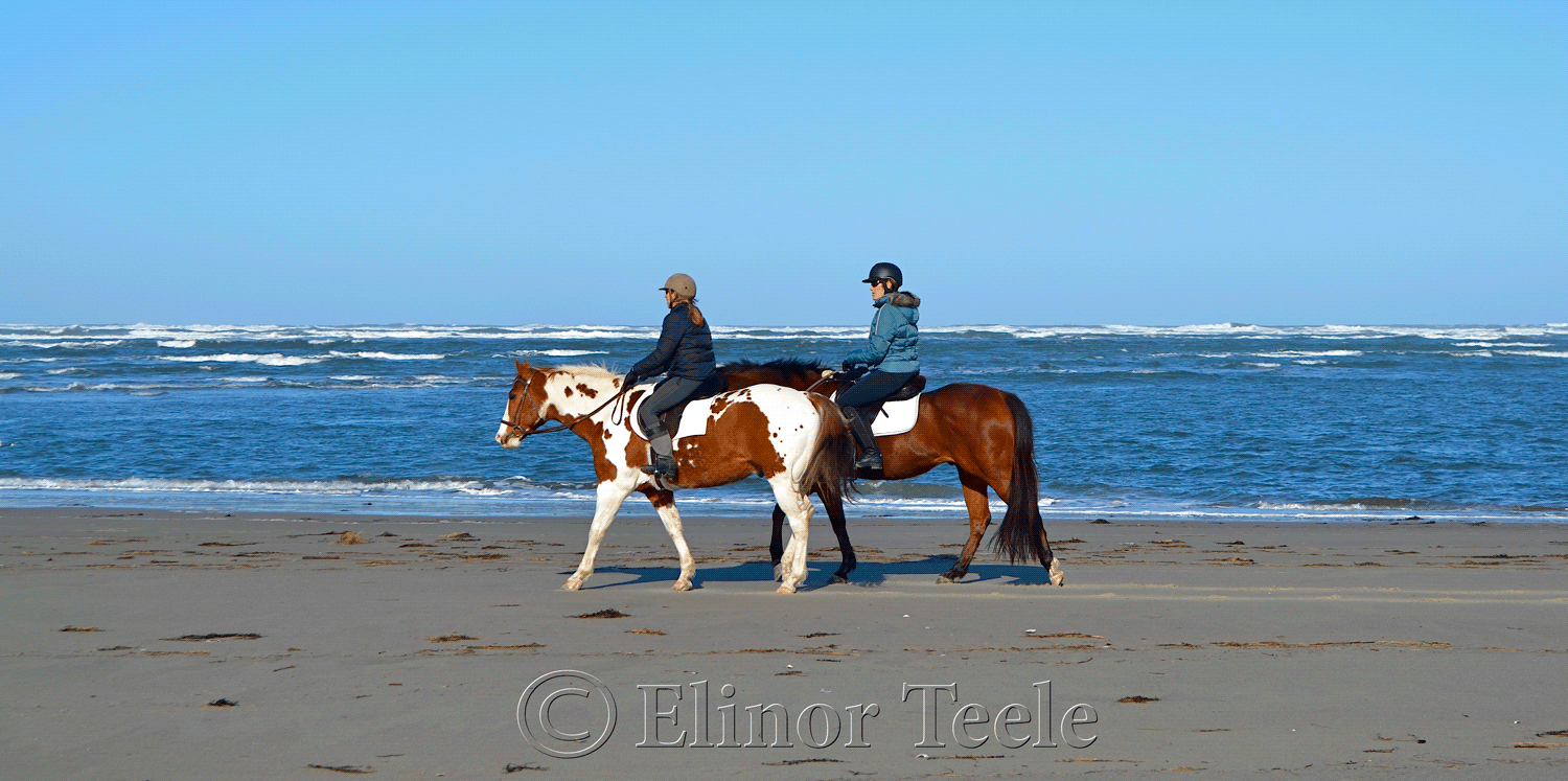 Horseback Riding, Crane's Beach