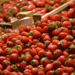 Strawberries, Great Market Hall, Budapest, Hungary