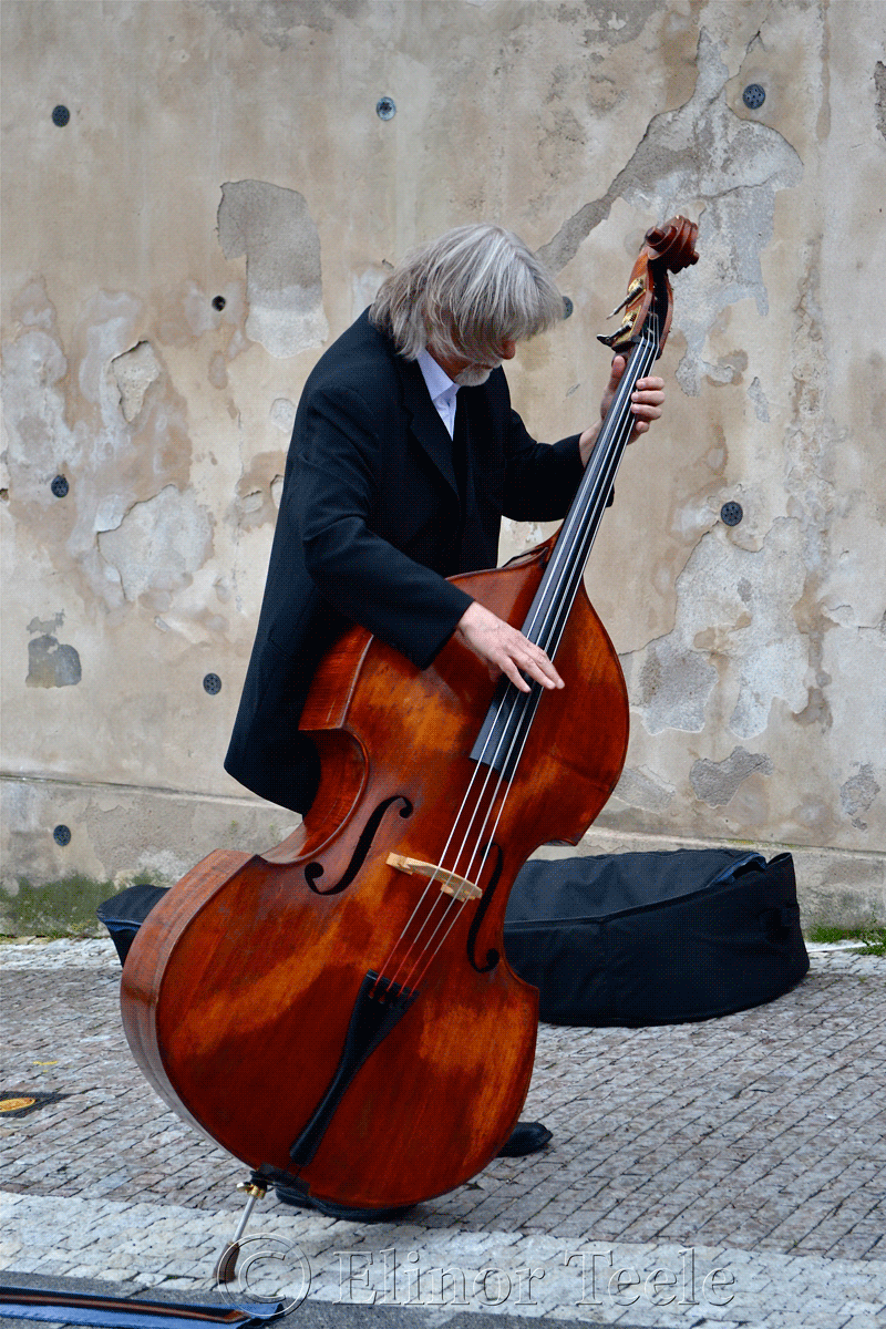 Double Bass Player, Prague Castle
