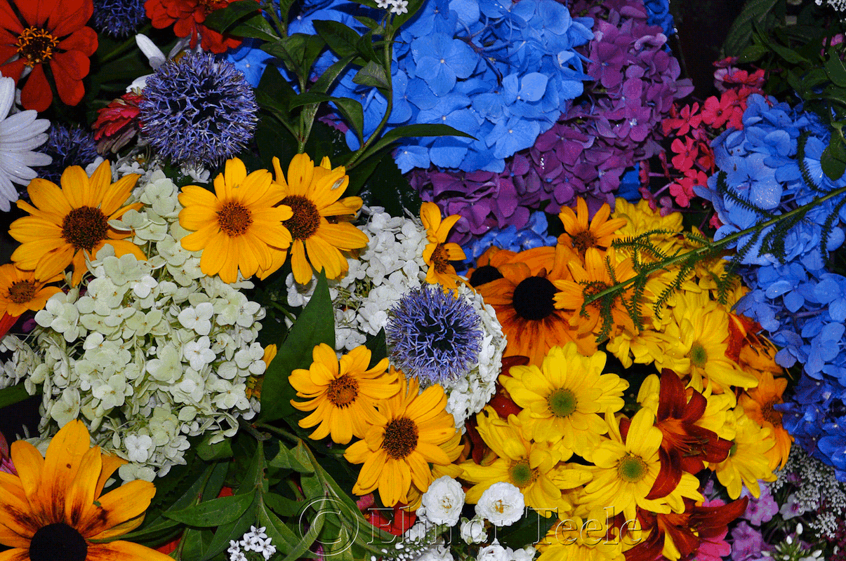 Flower Table, Annisquam Seafair 2013