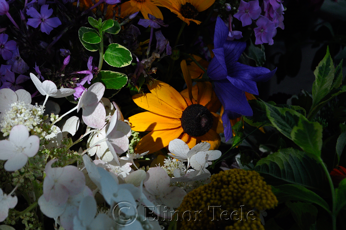 Flower Table, Annisquam Seafair 2013