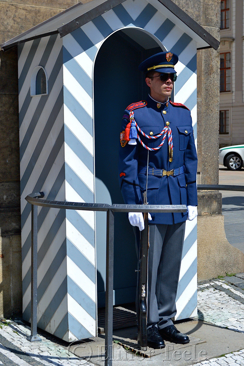 Castle Guard, Prague Castle