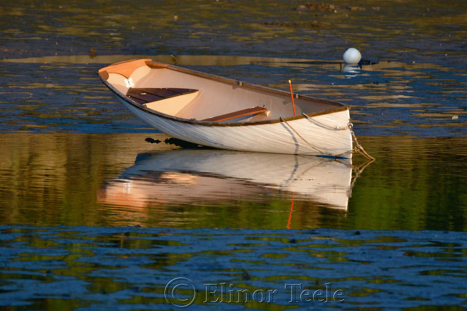 Whitehall Rowboat at Low Tide