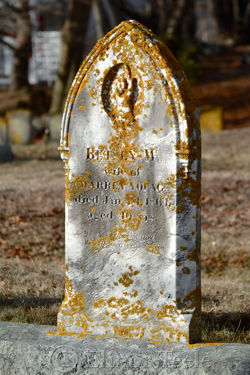 Langsford Cemetery, Lanesville MA