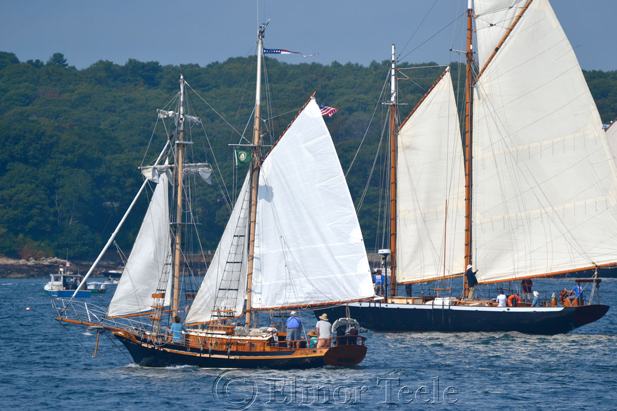 Parade of Sail, Gloucester Schooner Festival 2014 4