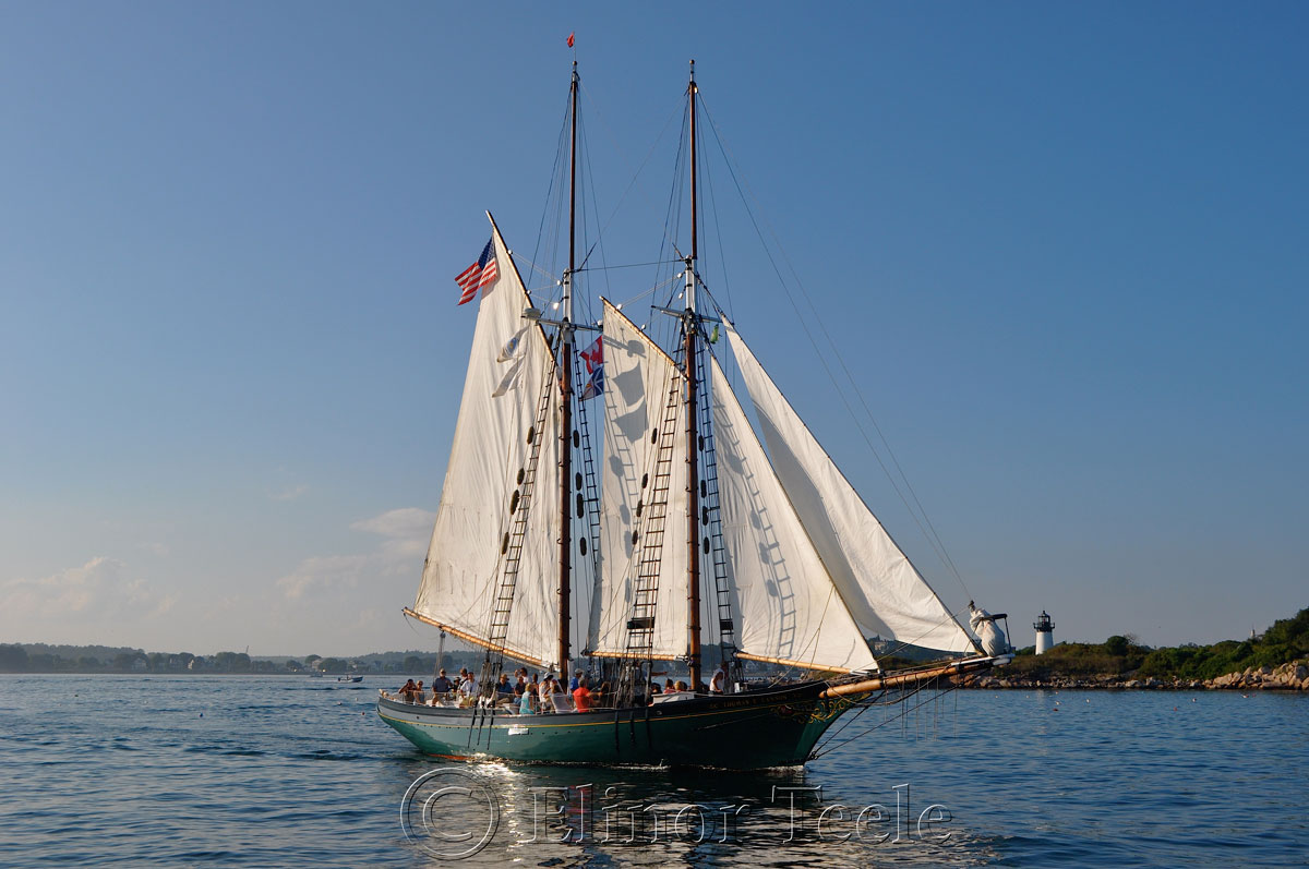 Schooner Thomas Lannon - Harbor Sail 8