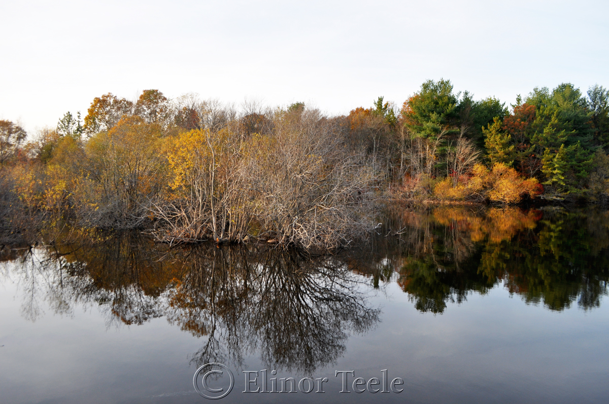 Goose Cove Reservoir on a November Afternoon, Gloucester MA 1