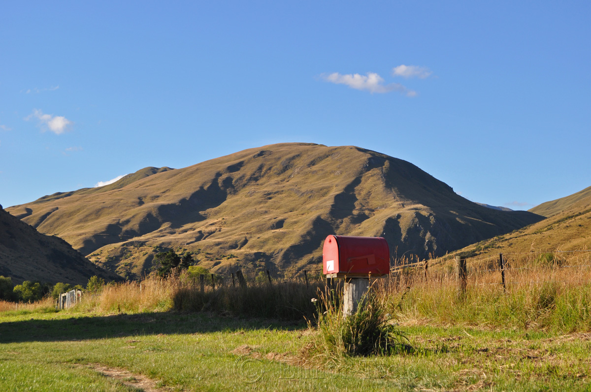 Red Mailbox, Crown Terrace, Central Otago