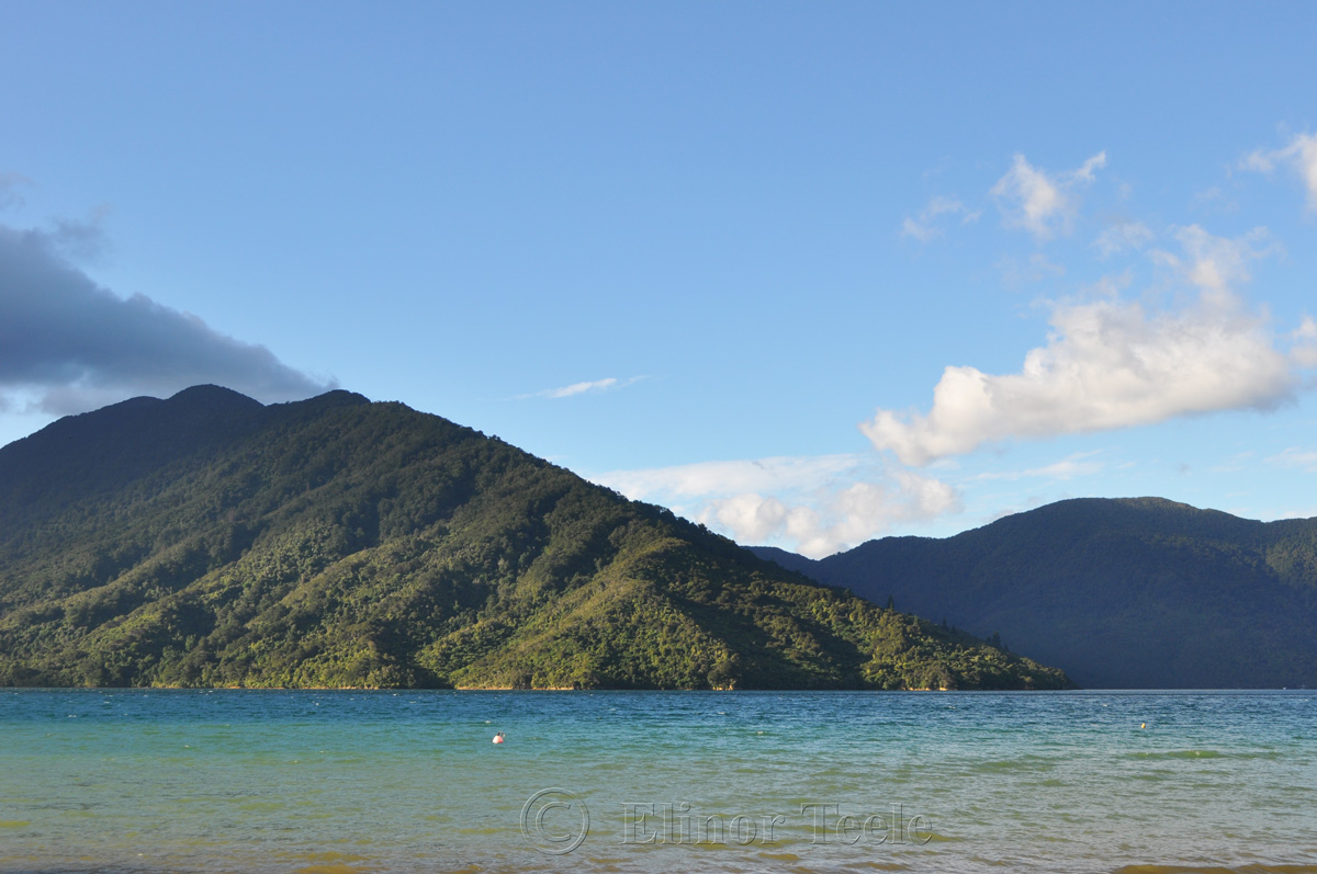 Queen Charlotte Track - Mahana Lodge in Afternoon Light 2