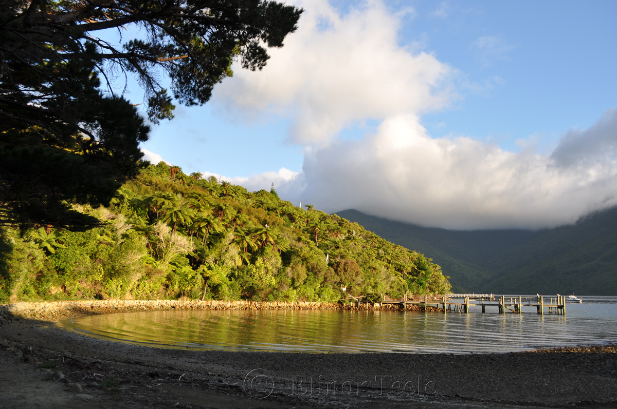 Queen Charlotte Track - Mahana Lodge in the Morning