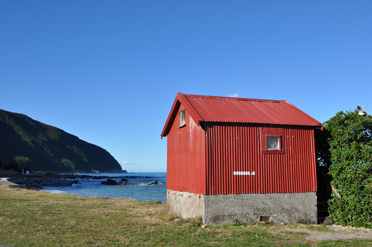 Red Shed, South Island