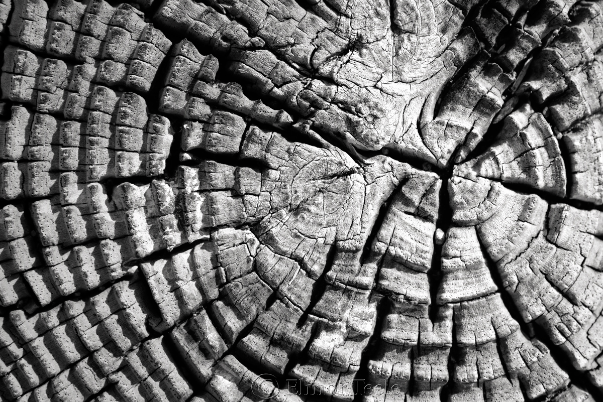 Wood Patterns 7