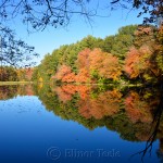 Fall Foliage, Macone's Pond, Concord MA 2