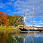 Fall Foliage - Safe Harbor, Essex MA