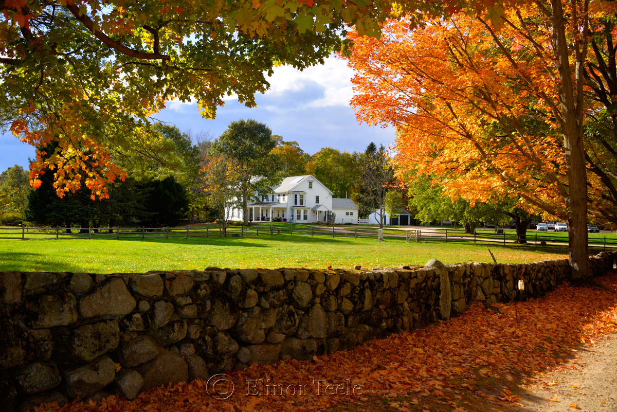 Fall Foliage - Visitor Center, Appleton Farms, Ipswich MA
