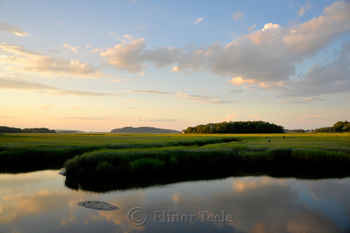 Marshes, Essex MA