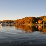 Annisquam Harbor - Fall Foliage