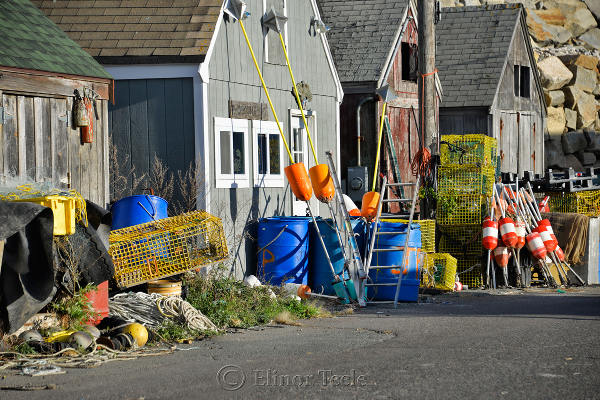 Pigeon Cove in October, Rockport MA 4