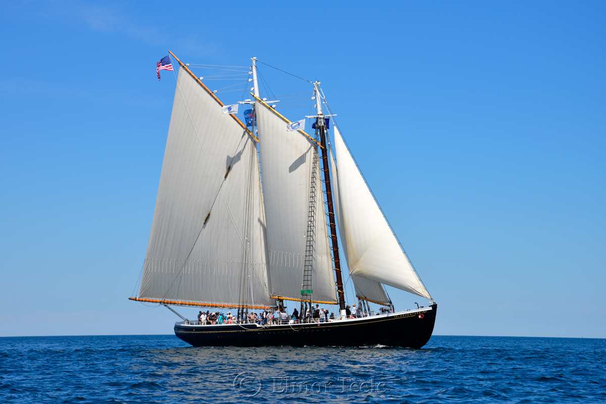 Adventure, Sail Boston 1