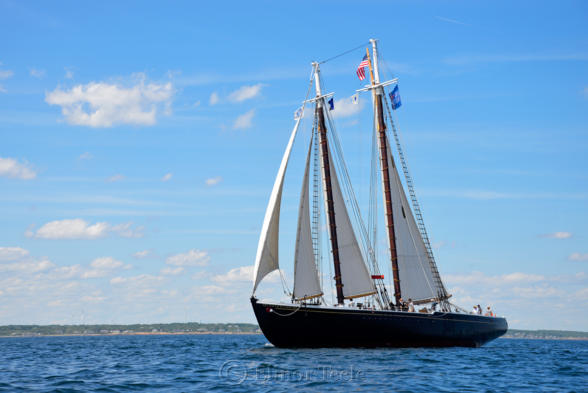 Adventure, Sail Boston 4