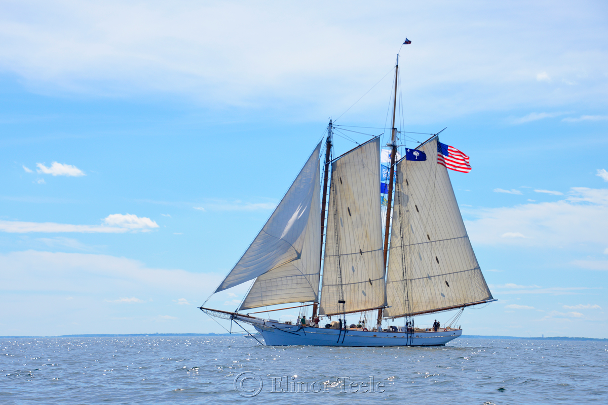 Spirit of South Carolina, Sail Boston 1