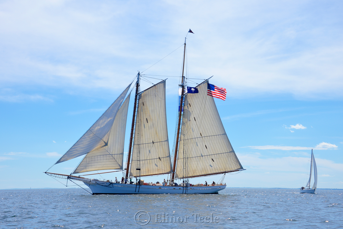 Spirit of South Carolina, Sail Boston 2
