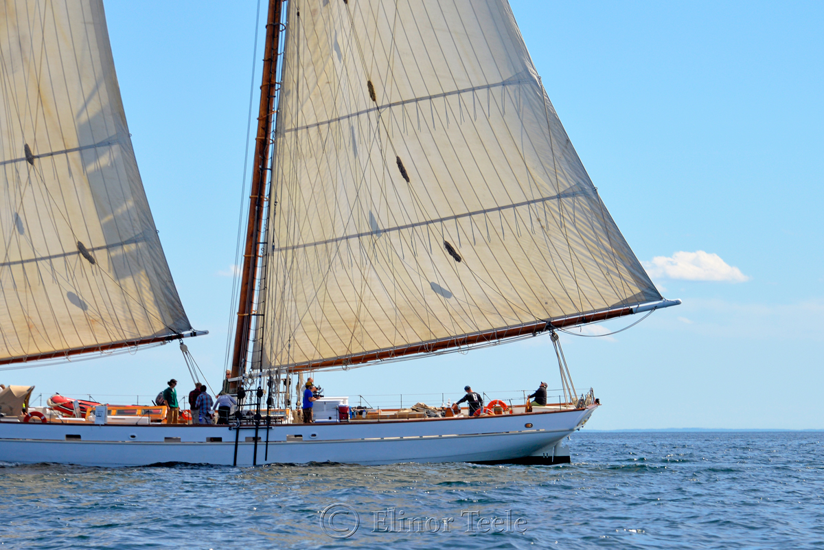 Spirit of South Carolina, Sail Boston 4