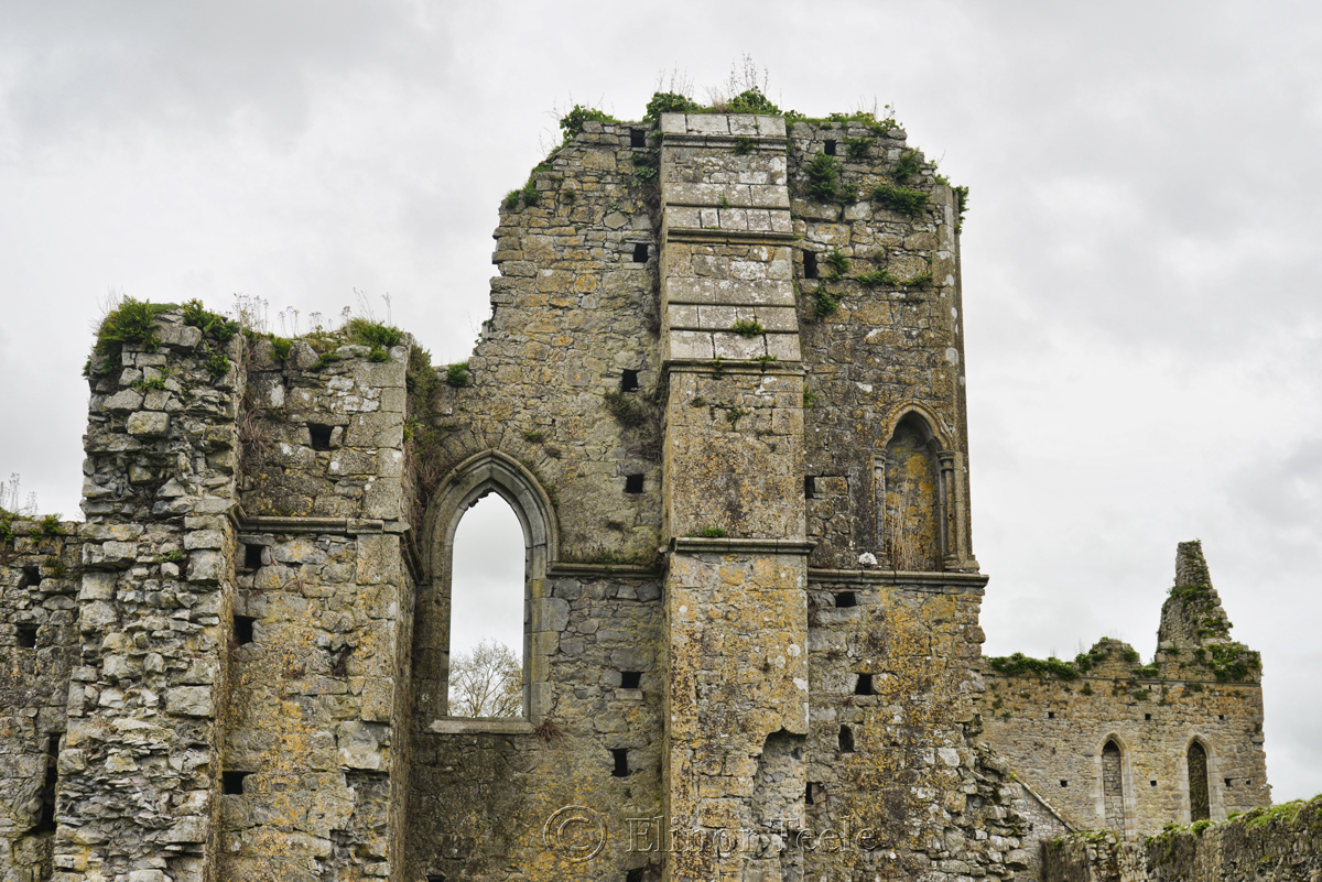 Forgotten Priory 2