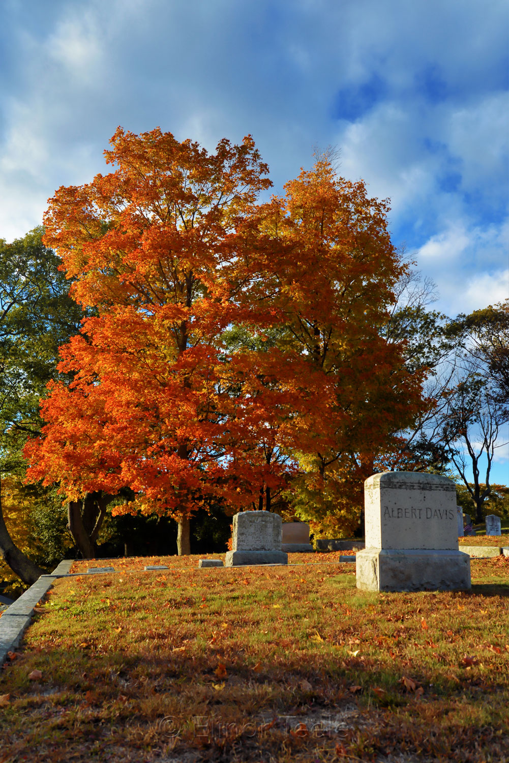 New England Fall Foliage - Cemetery 2