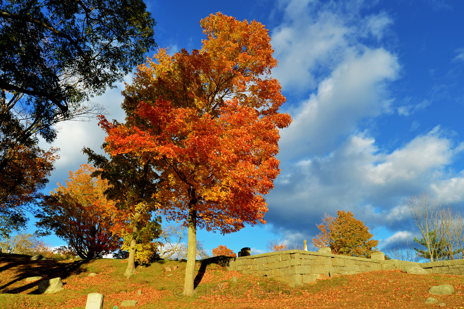 New England Fall Foliage - Cemetery 5