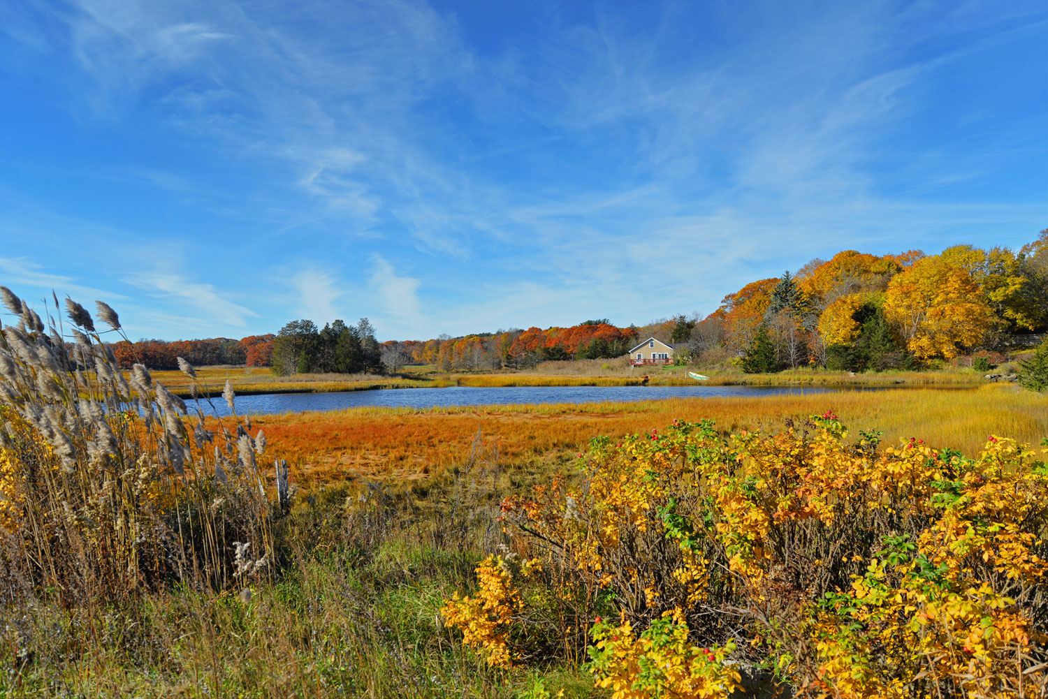 Golden Marshes, Essex MA