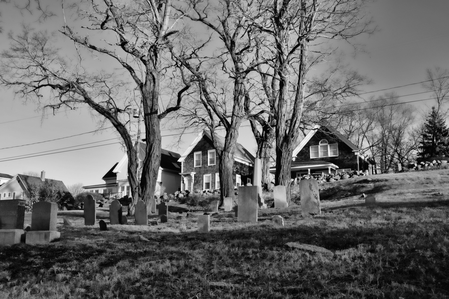 Bay View Cemetery in Winter - Black & White, Gloucester MA