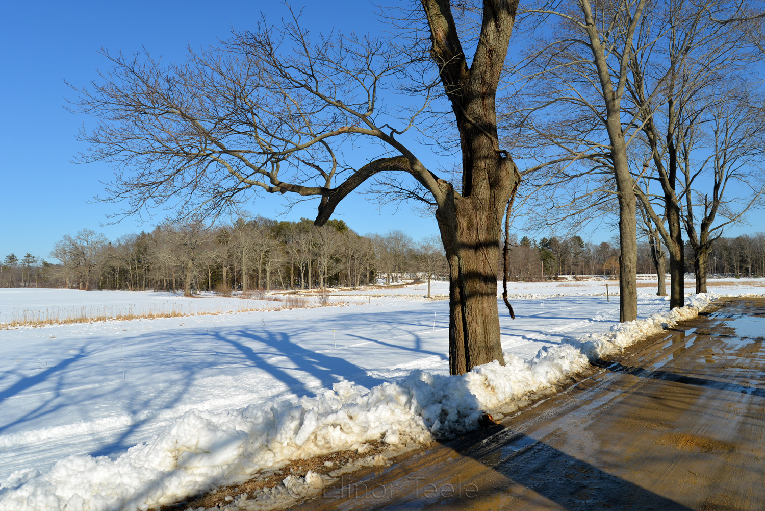 Drive in Winter - Appleton Farms