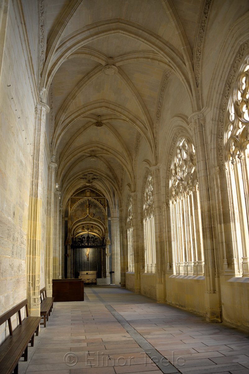 Cloisters, Catedral de Segovia, Segovia