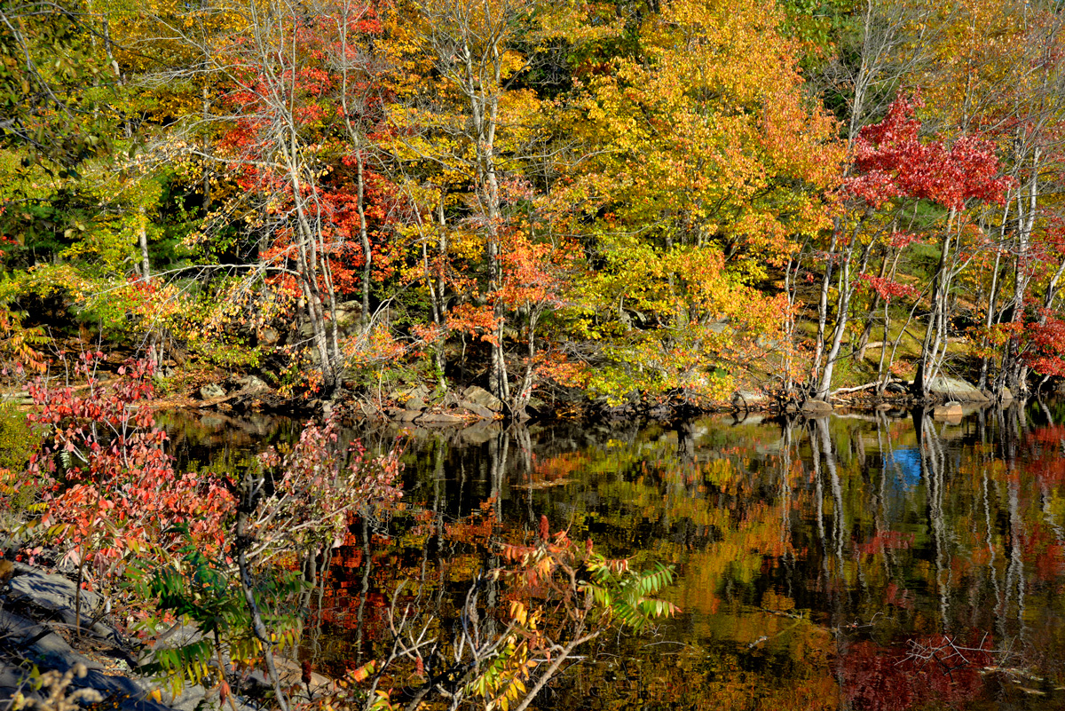 Goose Cove Reservoir - Fall Foliage 2019