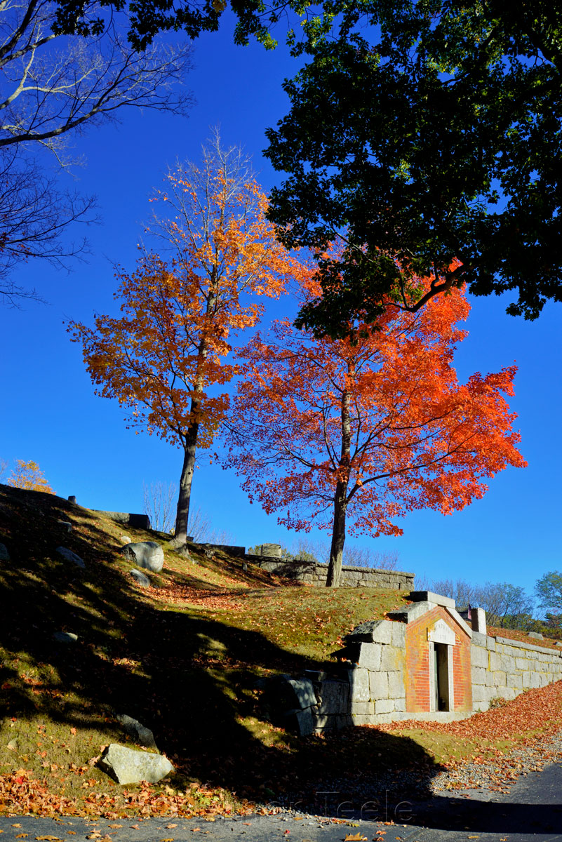 Fall Foliage - Cemetery in the Afternoon 5