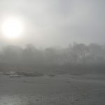 Beach - November Fog 1
