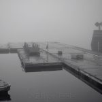 AYC Docks - November Fog 1