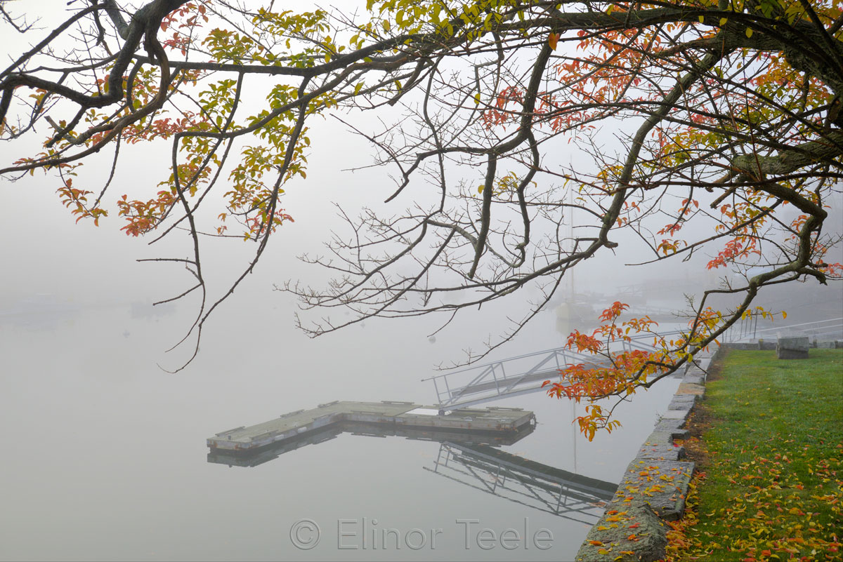 Fall Foliage & Dock - November Fog