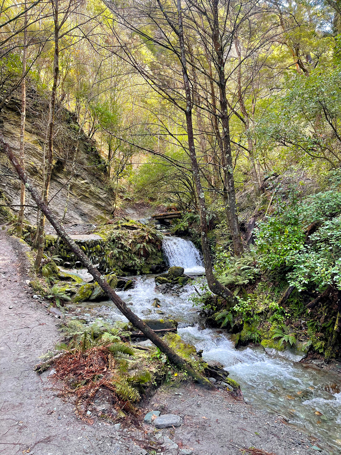 Bush Creek Waterfall in October 2