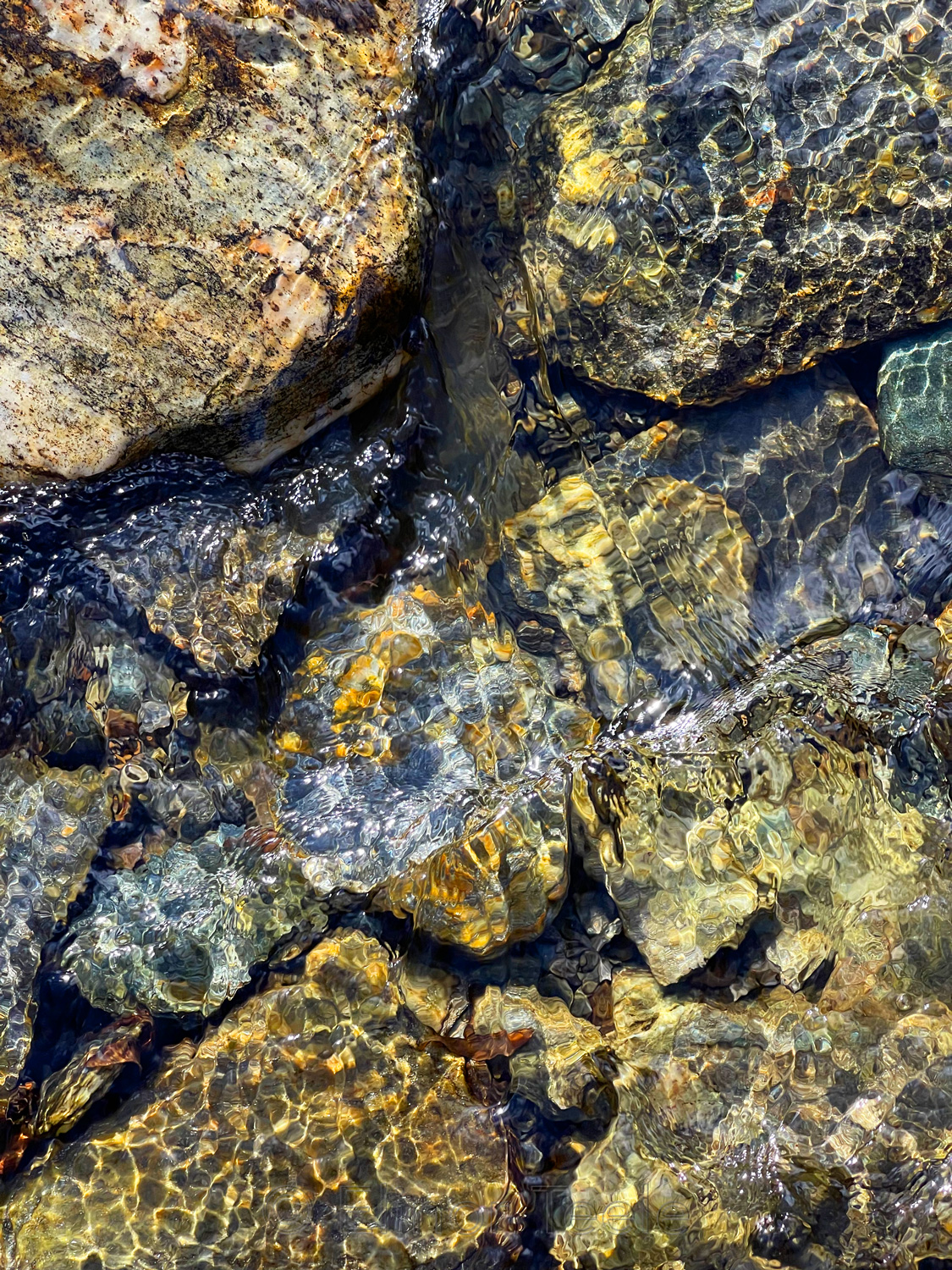 Rocks Underwater in Spring 4