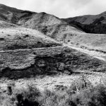 Sawpit Gully - Big Hill Track - Black & White